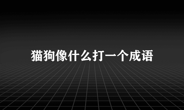 猫狗像什么打一个成语