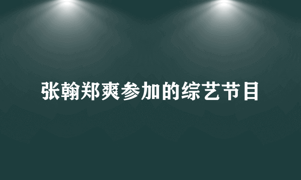 张翰郑爽参加的综艺节目