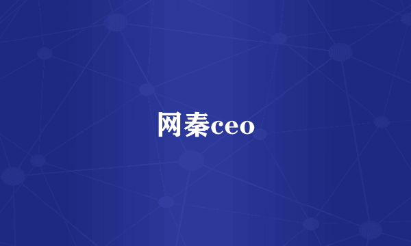 网秦ceo