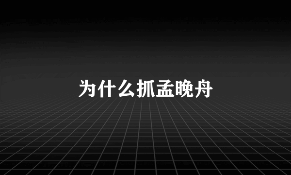 为什么抓孟晚舟