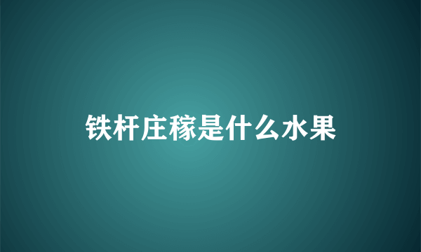 铁杆庄稼是什么水果