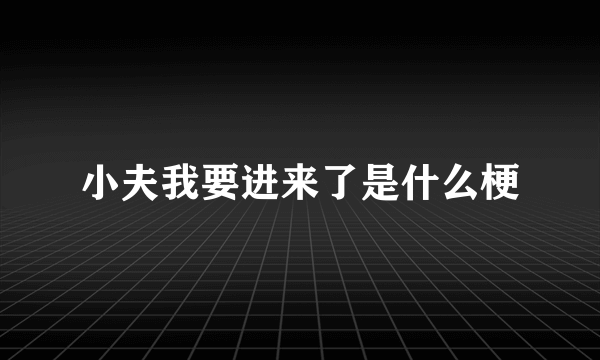 小夫我要进来了是什么梗