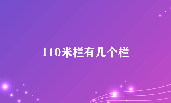 110米栏有几个栏