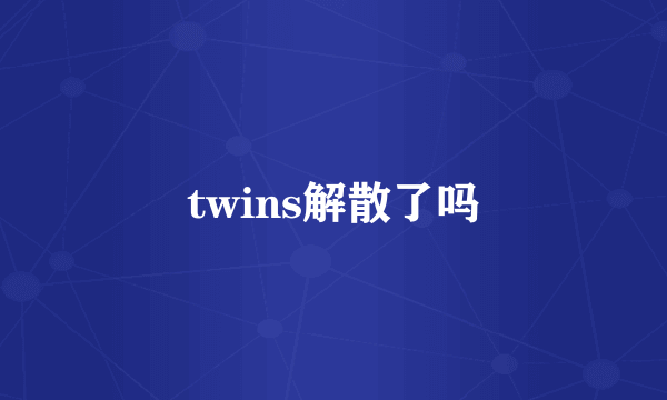 twins解散了吗