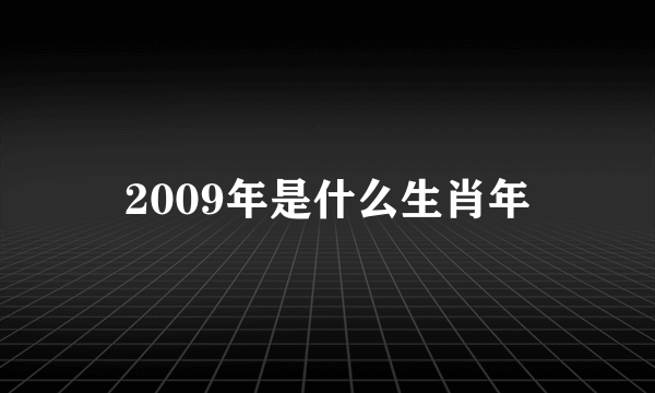 2009年是什么生肖年