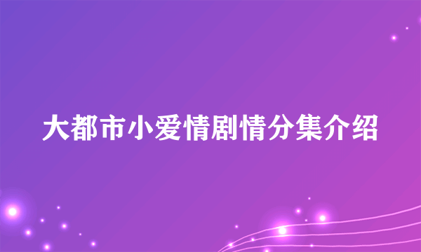 大都市小爱情剧情分集介绍