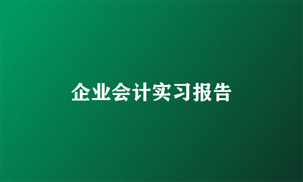 企业会计实习报告