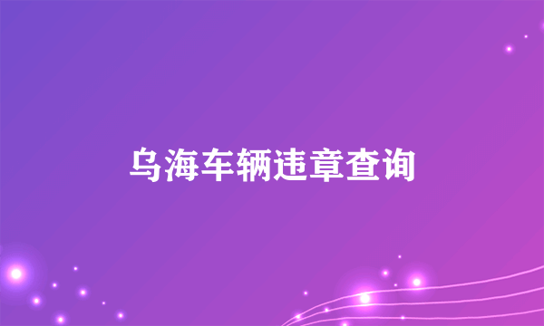 乌海车辆违章查询