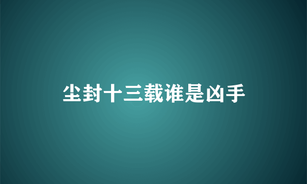 尘封十三载谁是凶手