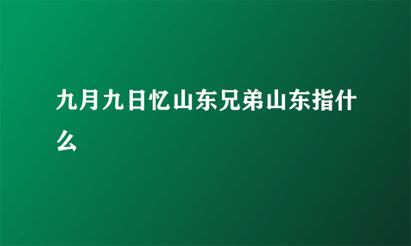 九月九日忆山东兄弟山东指什么