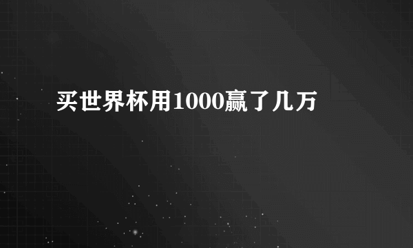 买世界杯用1000赢了几万