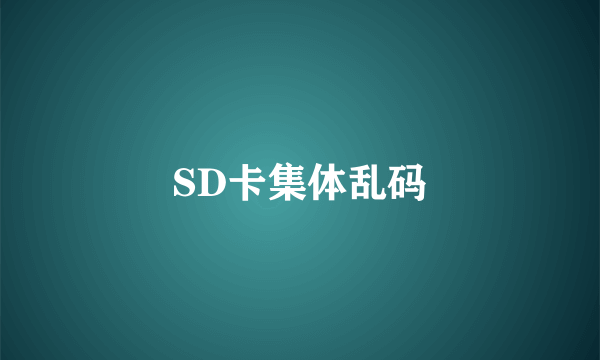 SD卡集体乱码