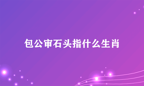 包公审石头指什么生肖