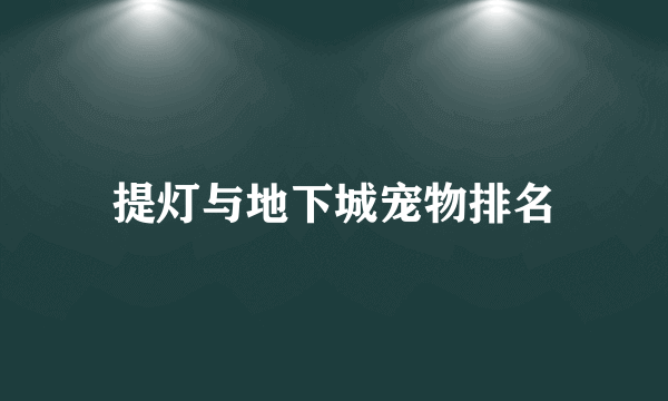 提灯与地下城宠物排名