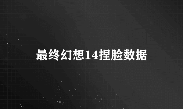 最终幻想14捏脸数据