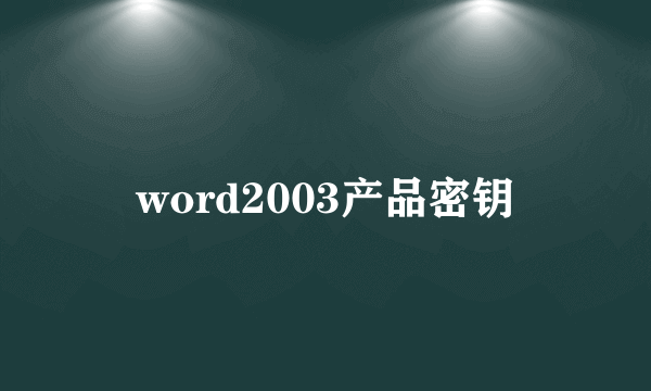 word2003产品密钥