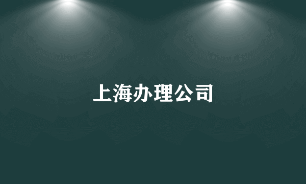 上海办理公司