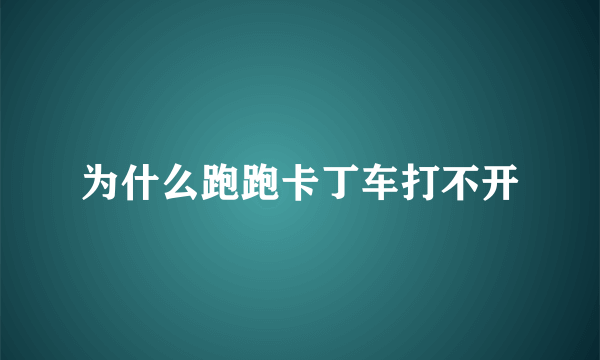 为什么跑跑卡丁车打不开