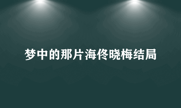 梦中的那片海佟晓梅结局