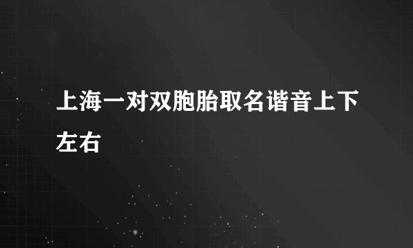 上海一对双胞胎取名谐音上下左右