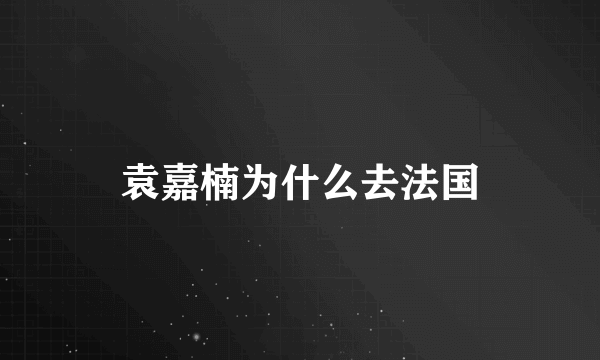 袁嘉楠为什么去法国