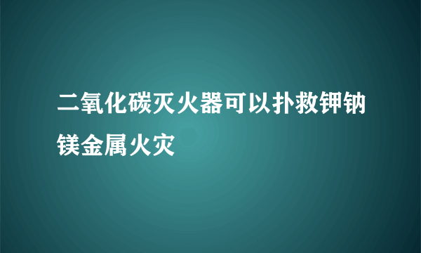 二氧化碳灭火器可以扑救钾钠镁金属火灾