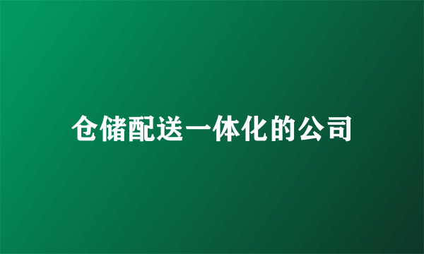 仓储配送一体化的公司