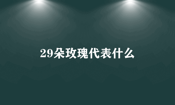 29朵玫瑰代表什么