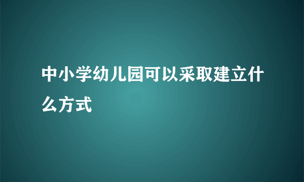 中小学幼儿园可以采取建立什么方式