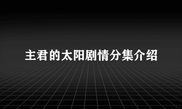 主君的太阳剧情分集介绍