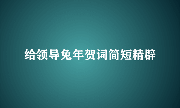 给领导兔年贺词简短精辟