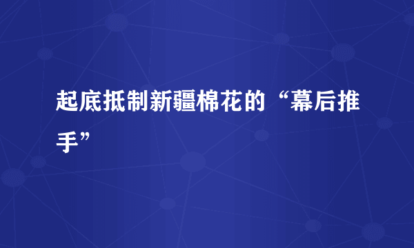 起底抵制新疆棉花的“幕后推手”