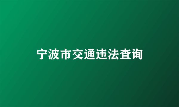 宁波市交通违法查询