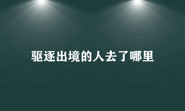 驱逐出境的人去了哪里