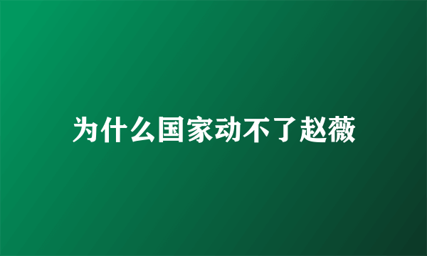 为什么国家动不了赵薇