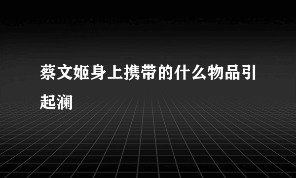 蔡文姬身上携带的什么物品引起澜