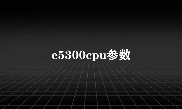 e5300cpu参数