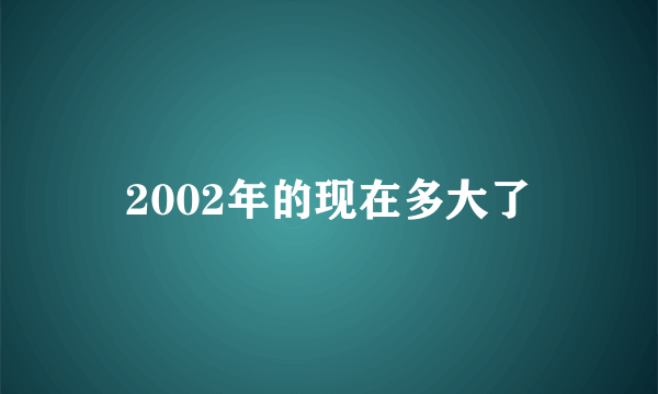 2002年的现在多大了