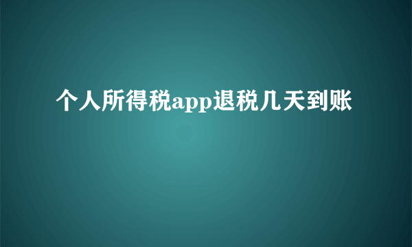 个人所得税app退税几天到账