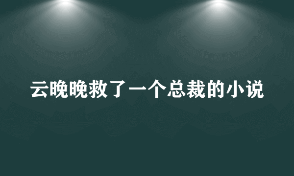 云晚晚救了一个总裁的小说