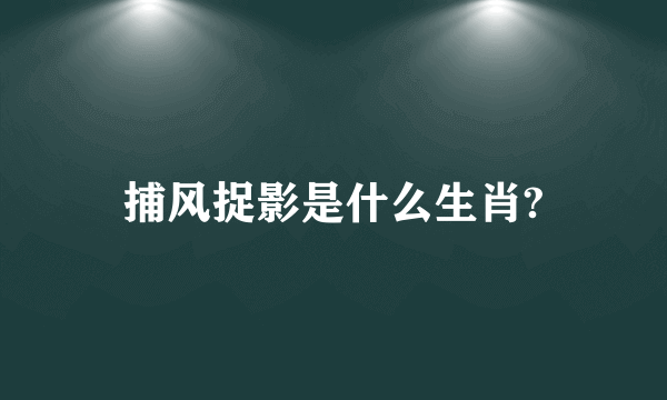 捕风捉影是什么生肖?