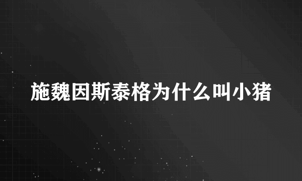 施魏因斯泰格为什么叫小猪