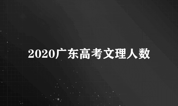 2020广东高考文理人数