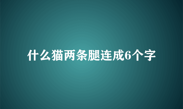 什么猫两条腿连成6个字