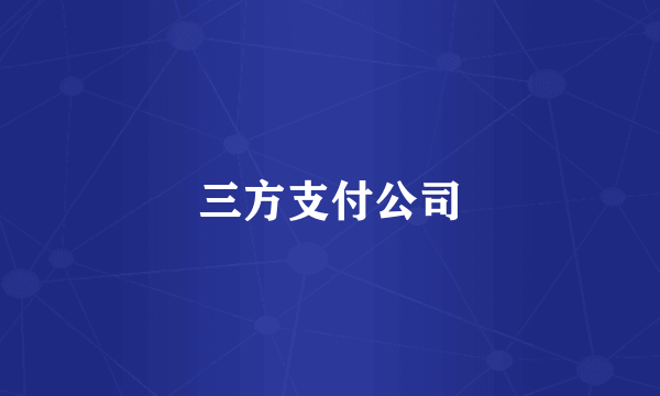 三方支付公司