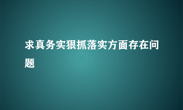 求真务实狠抓落实方面存在问题