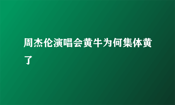 周杰伦演唱会黄牛为何集体黄了