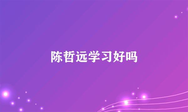 陈哲远学习好吗