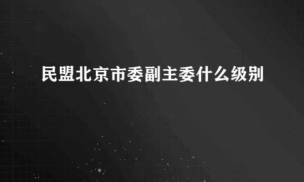 民盟北京市委副主委什么级别