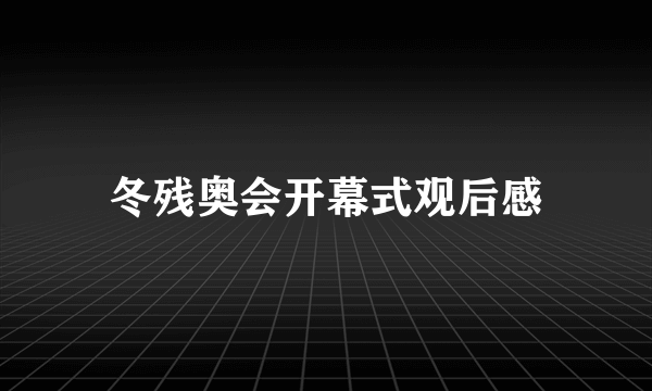 冬残奥会开幕式观后感